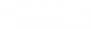 vuluzi